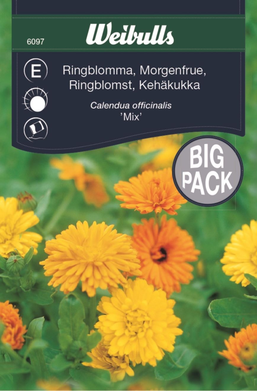 Weibulls Marigold Kehäkukka