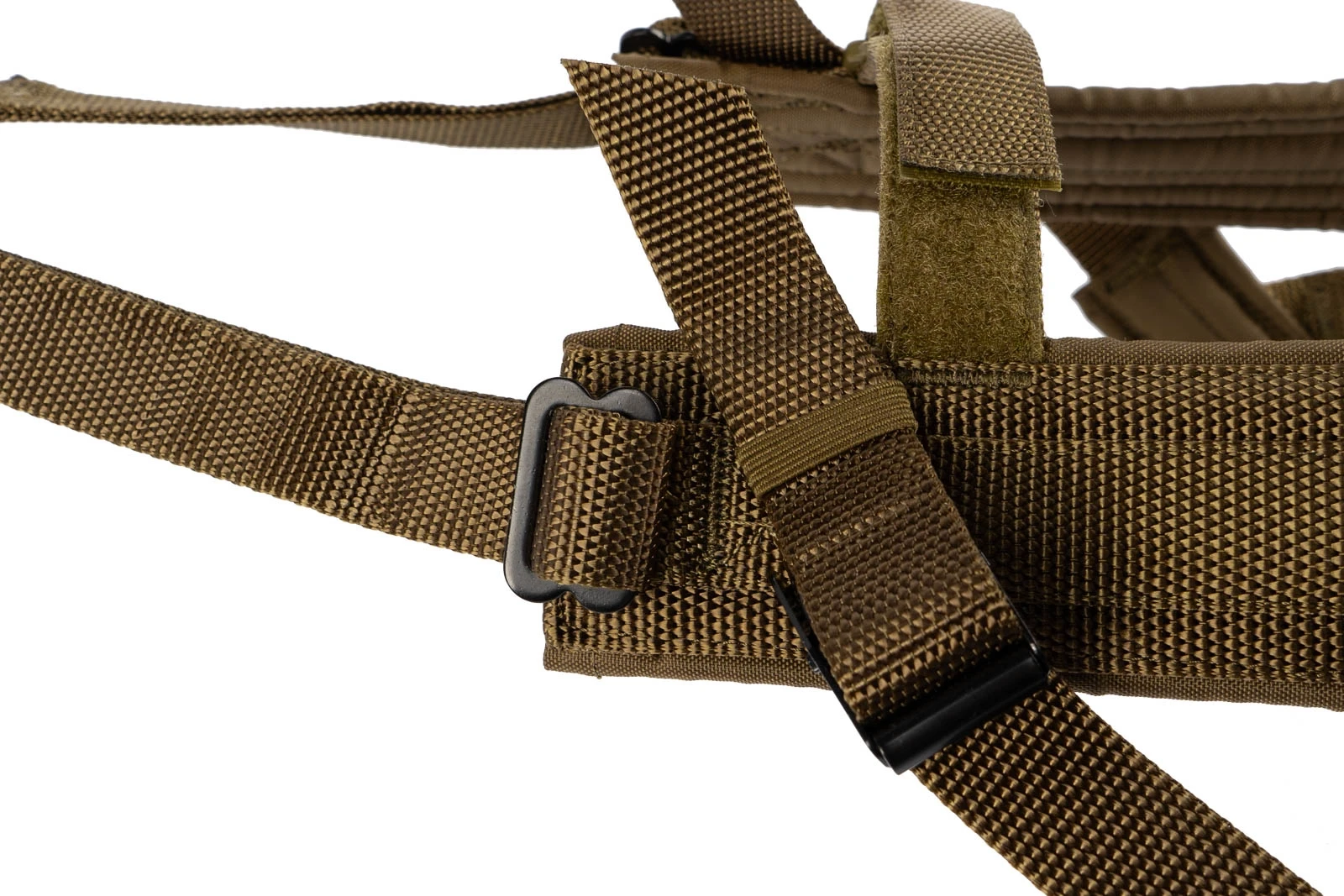 freemotion_harness_wd_feature_1[1].webp