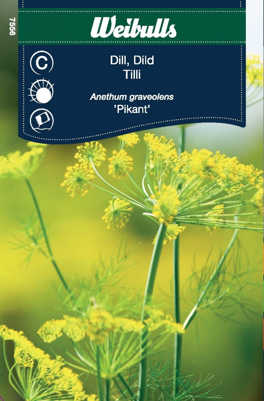 Weibulls Dill Pikant Frö