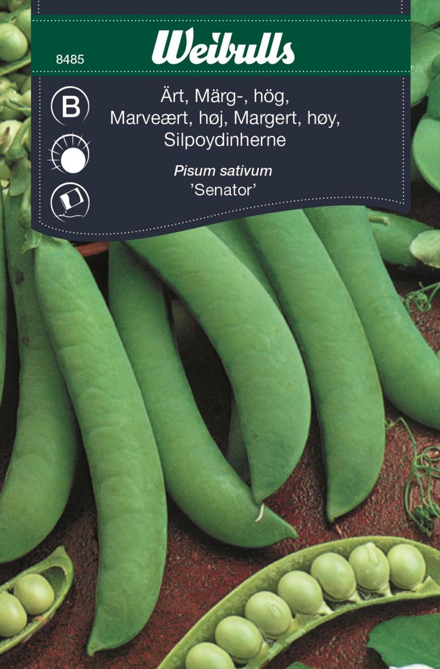 Ärt, Märgärt Hög Senator