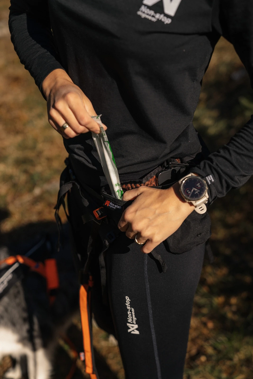 trail_light_belt_feature_3[1].webp