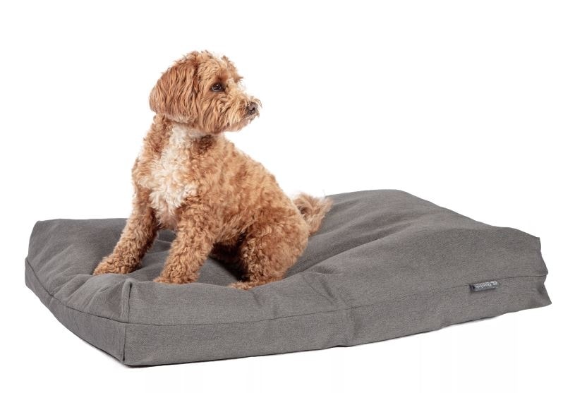Danish Design Antibacterial Bed Steel Grey M hundepude