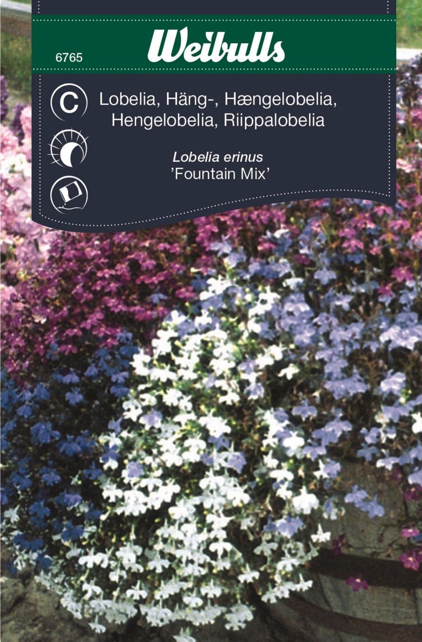 Weibulls Lobelia bland häng