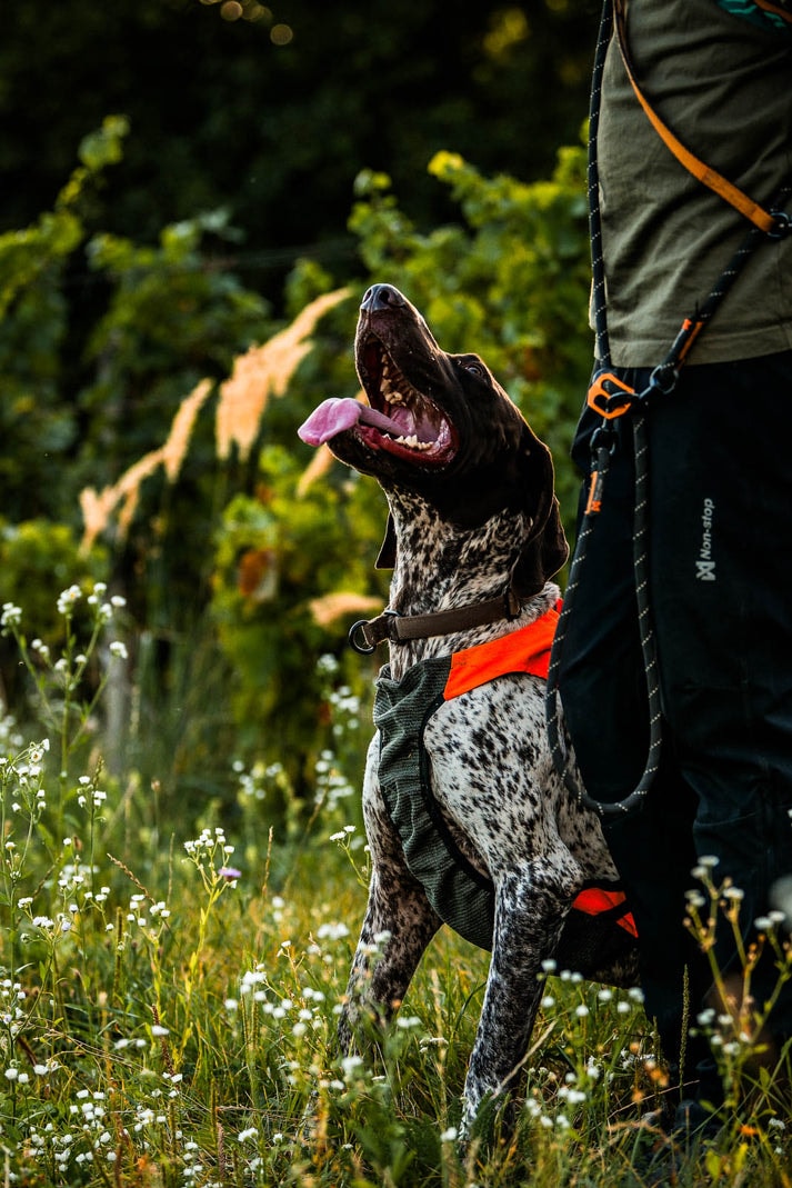 protector_vest_gps_2_setting_2[1].jpg