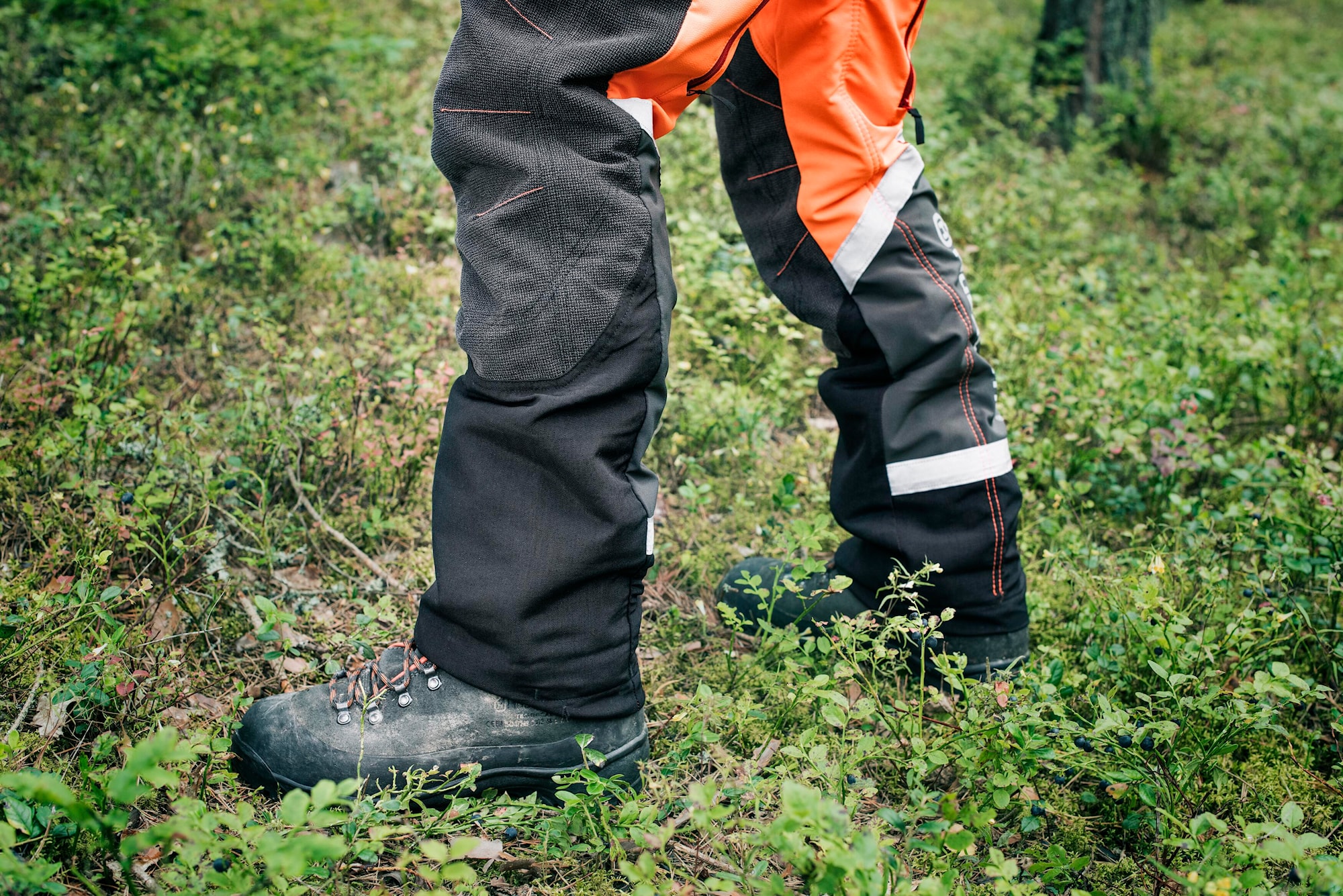H420-0381.jpeg
