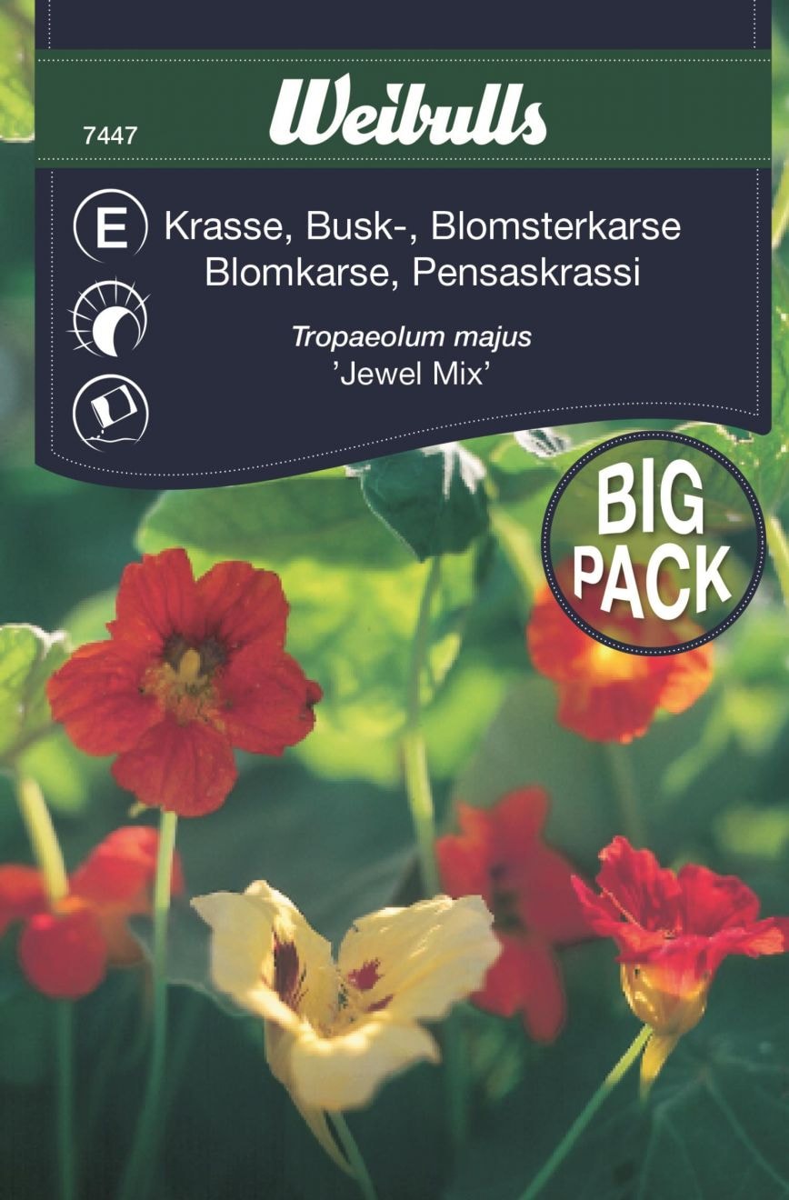 Weibulls Pensaskrassi suurpakkaus