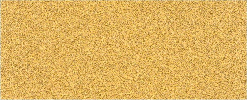 Bosch Slippapper Expert C470 för excenterslipar 93 x 230 mm P80 10 -pack