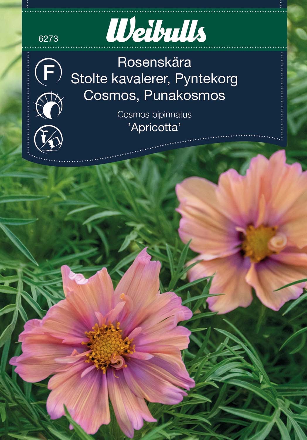 Weibulls Rosenskära Apricotta