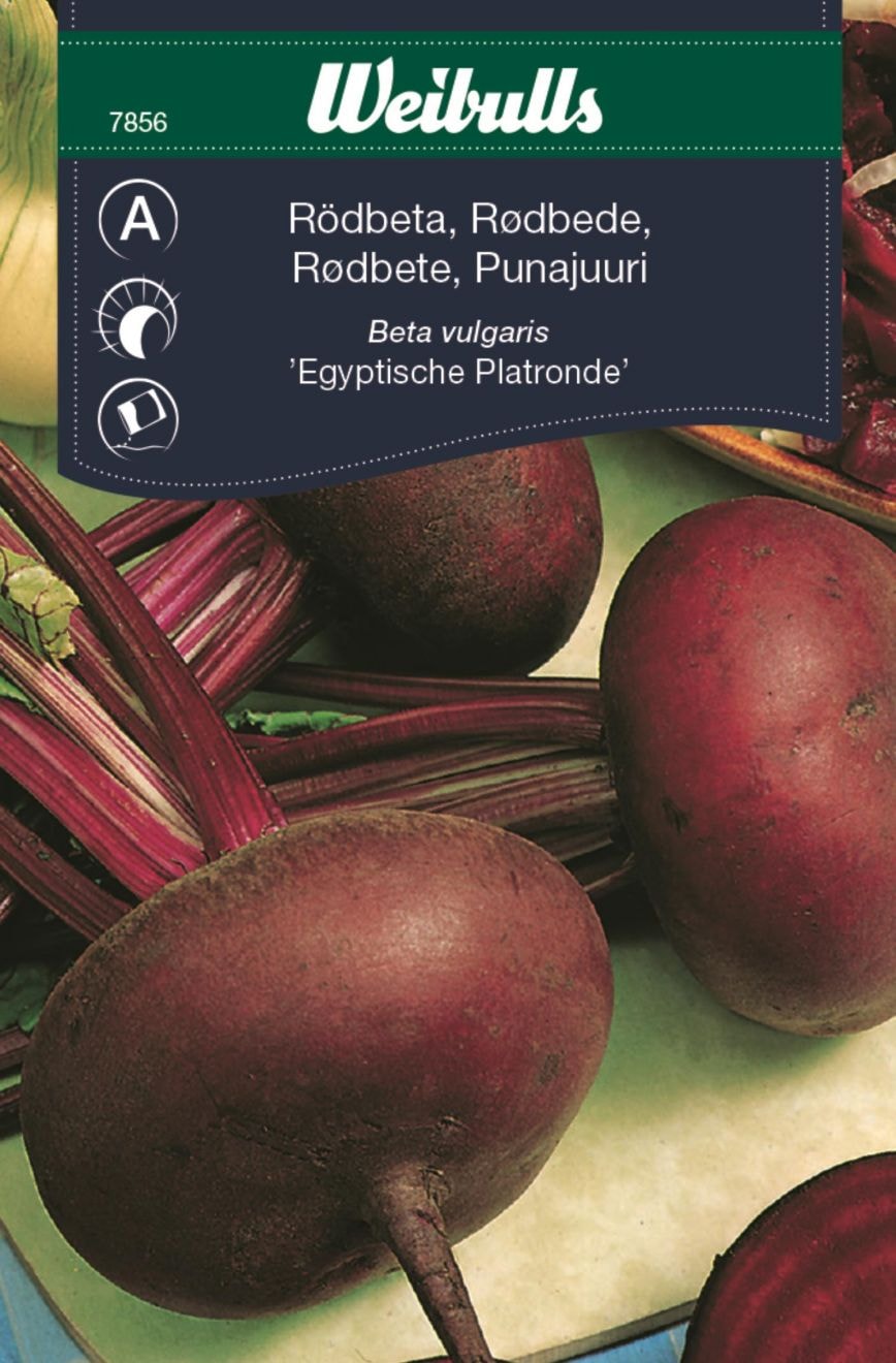 Weibulls Rödbeta egyp plattrund