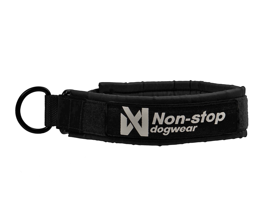 Solid collar WD, unisex, black, 55, single