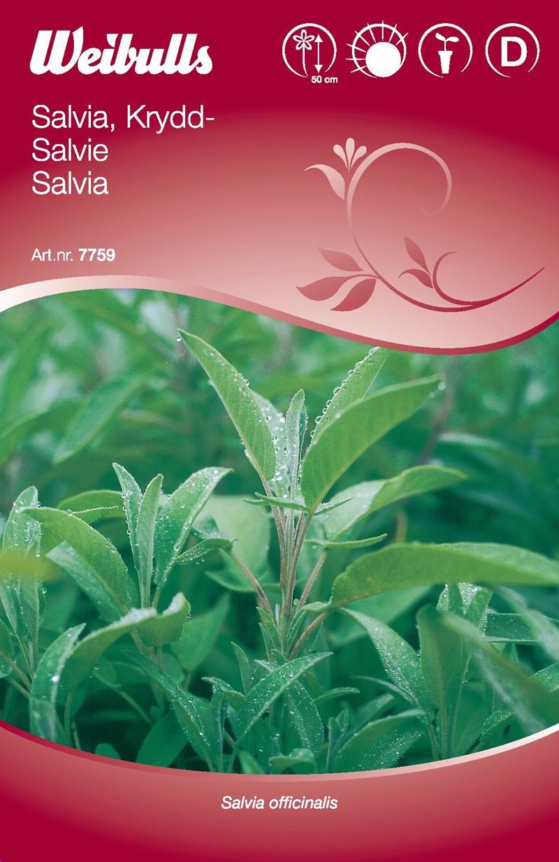 Weibulls Salvia, Krydd- Frö
