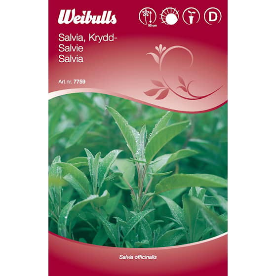 Weibulls Salvia, Krydd- Frö