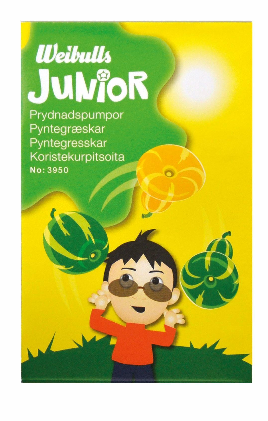 Junior Prydnadspumpor