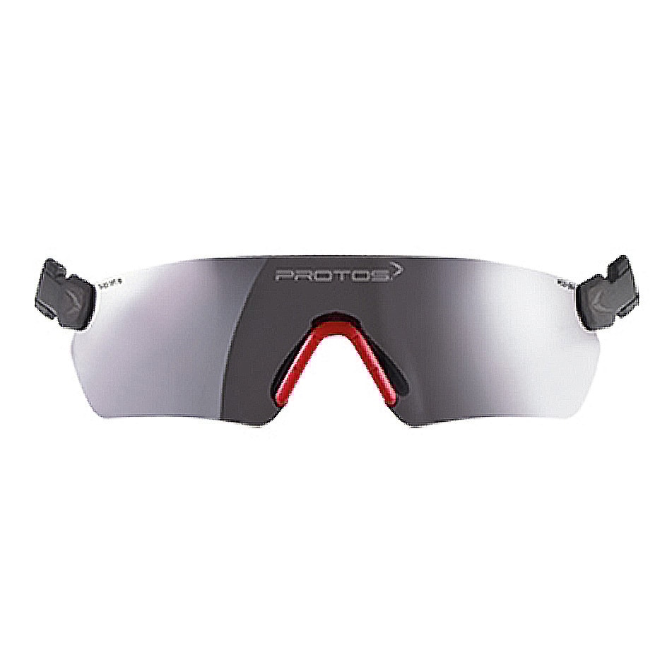 Protos Schutzbrille Schwarz