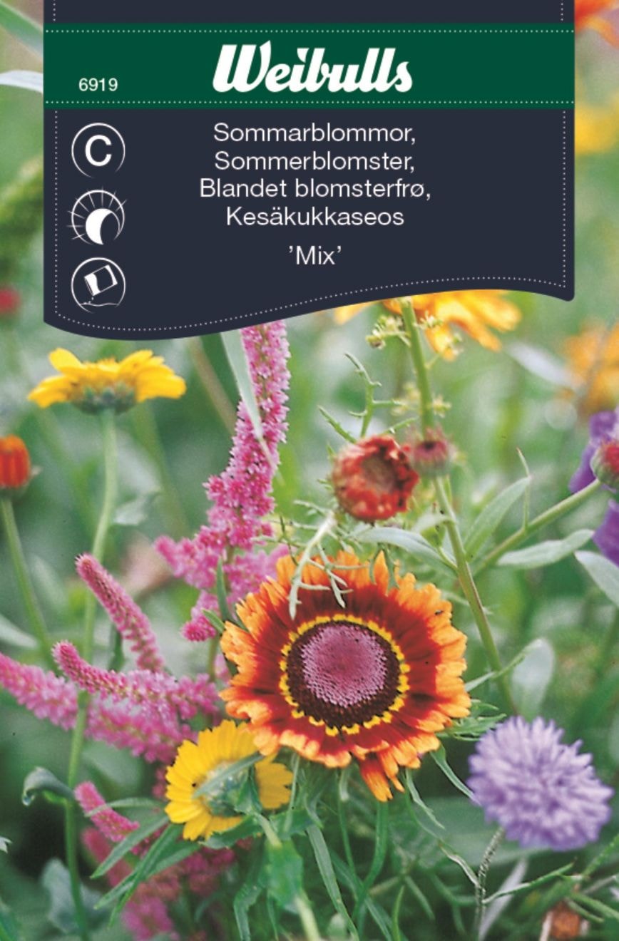 Weibulls Mix Sommarblommor