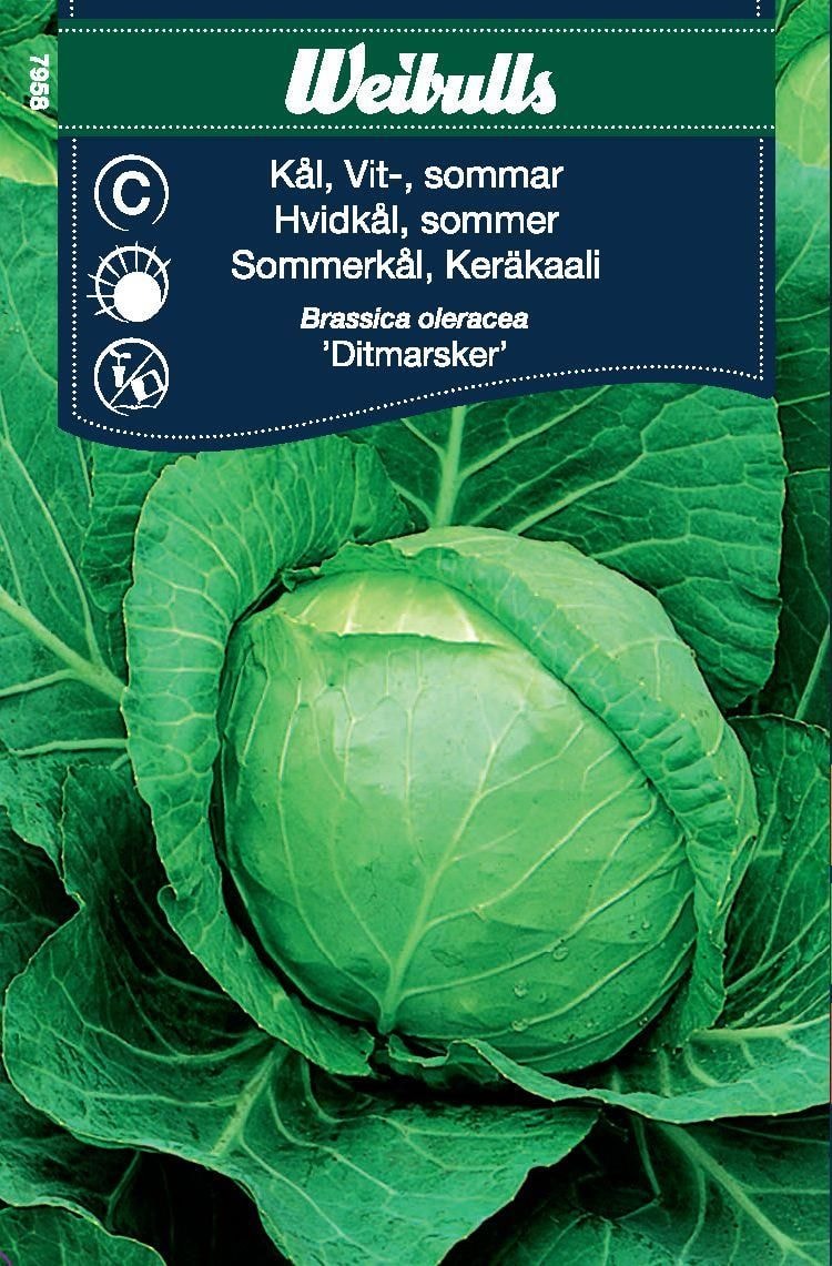 Weibulls Kål, Huvud Vit Sommar Frö