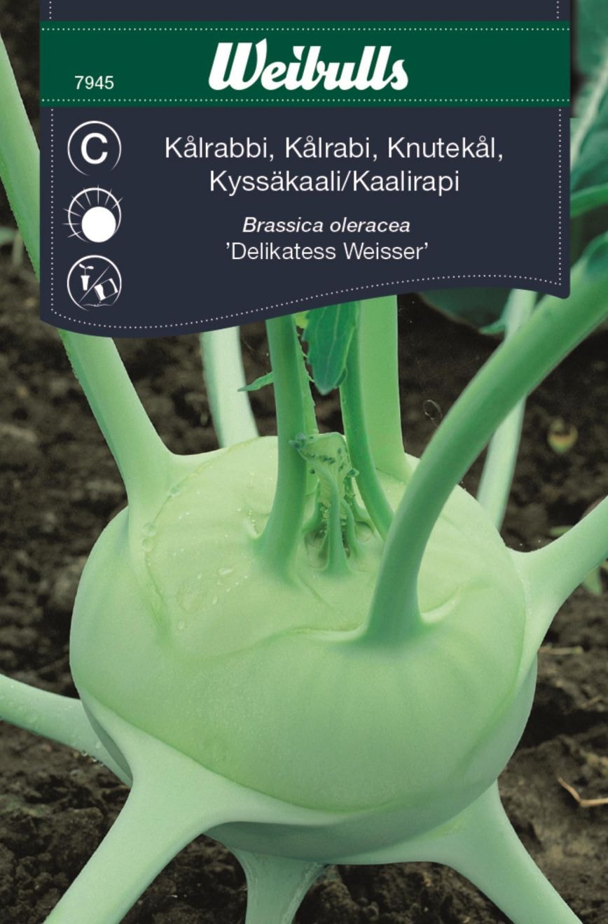 Weibulls Kålrabbi Delikat.Weisser