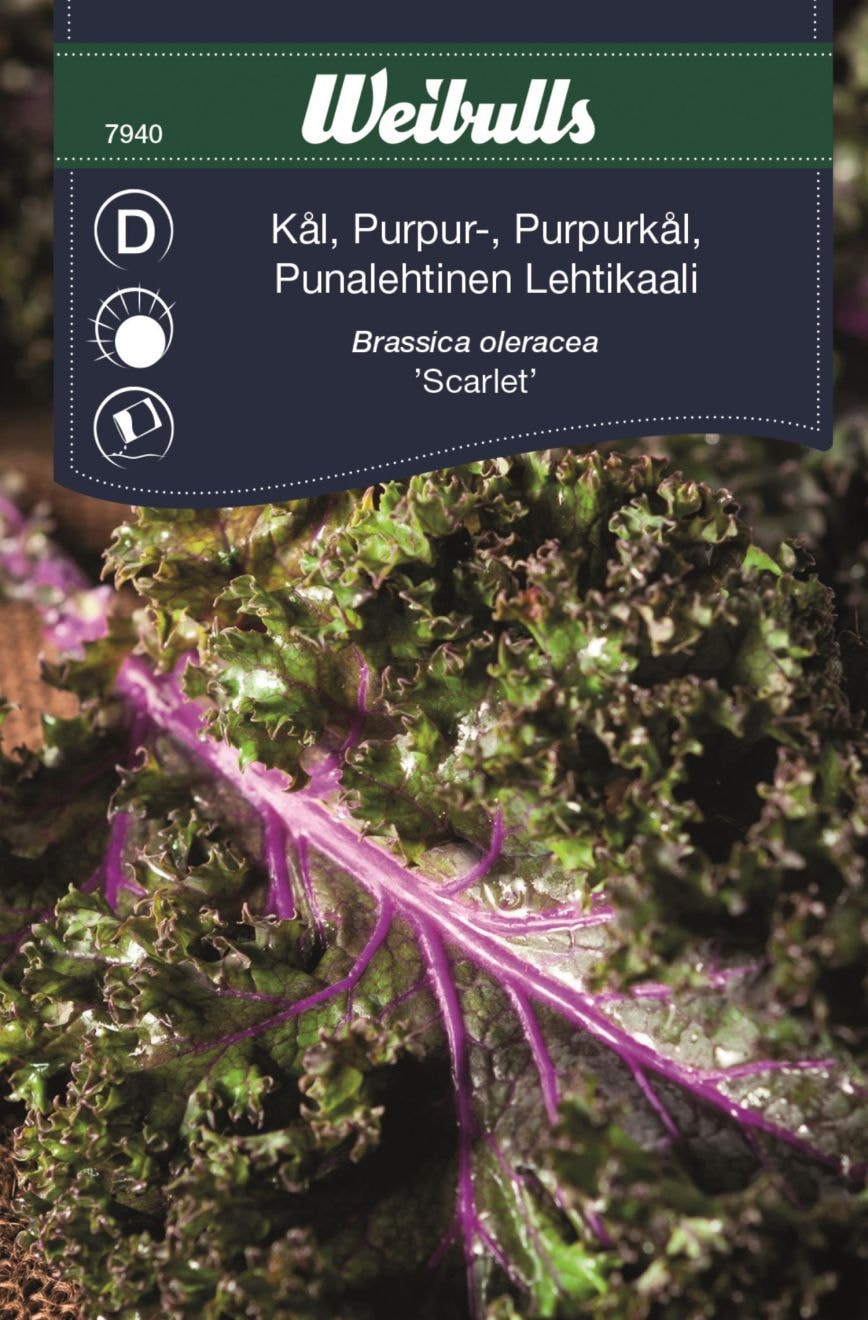 Weibulls Kål, Purpur- 'Scarlet' Frö