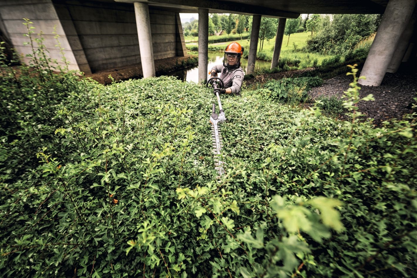 img (5).jpg