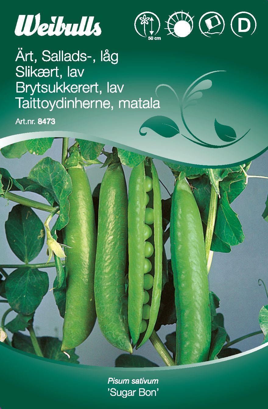 Weibulls Salladsärt, Låg ‘Sugar Bon’