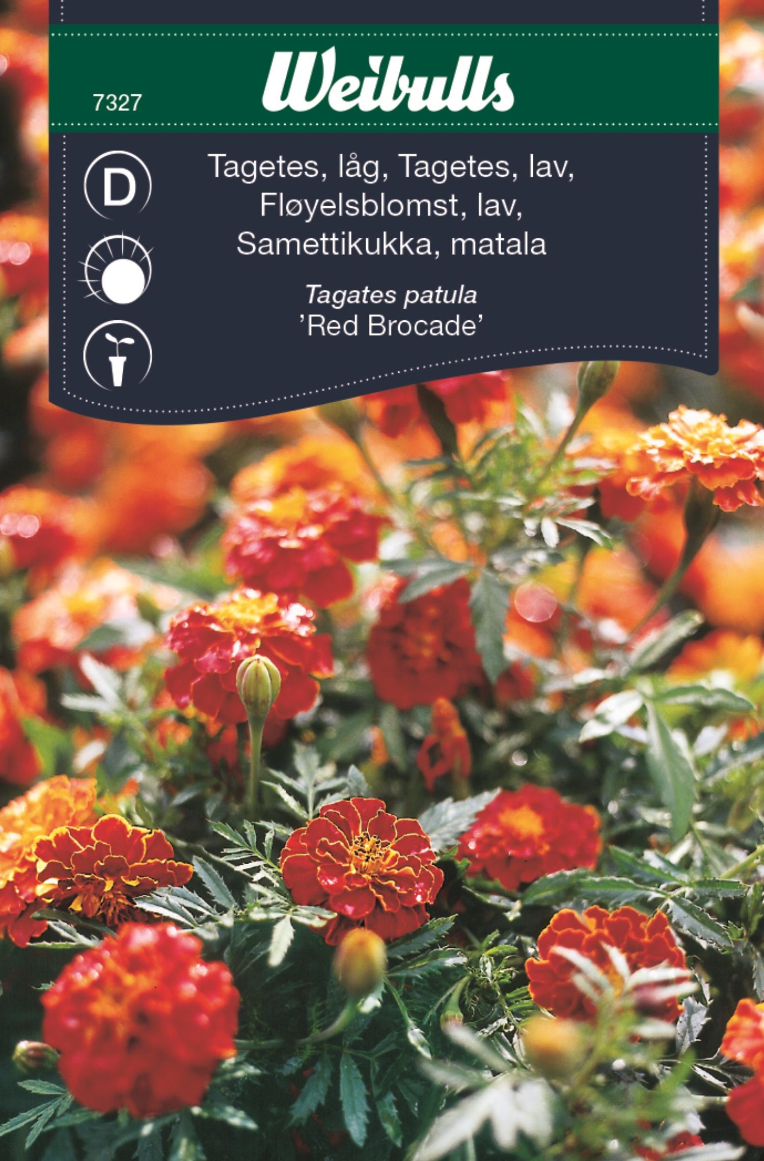 Weibulls Tagetes, låg