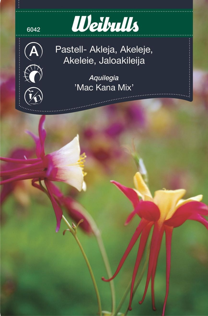 Weibulls Akleja pastell