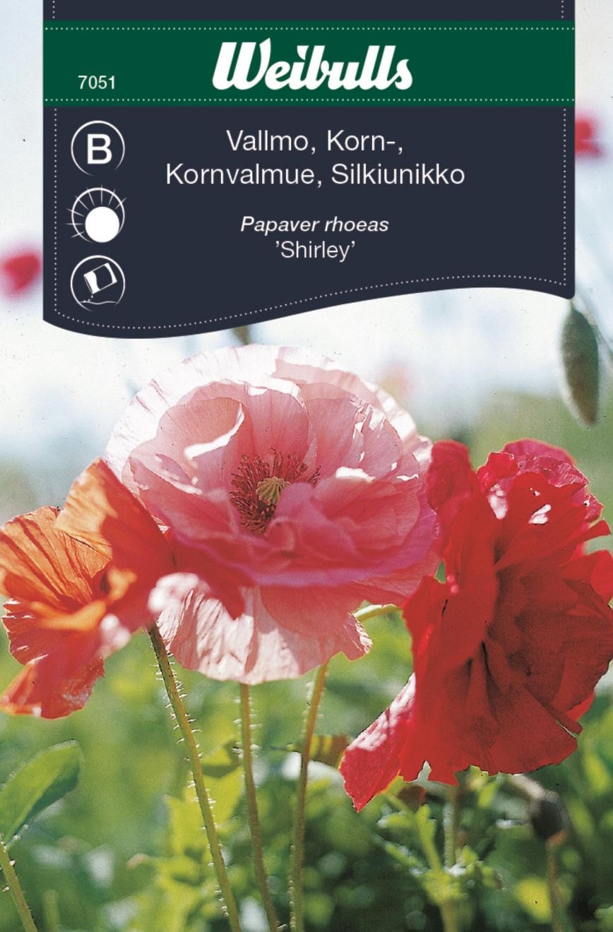 Vallmo, Korn, Shirley