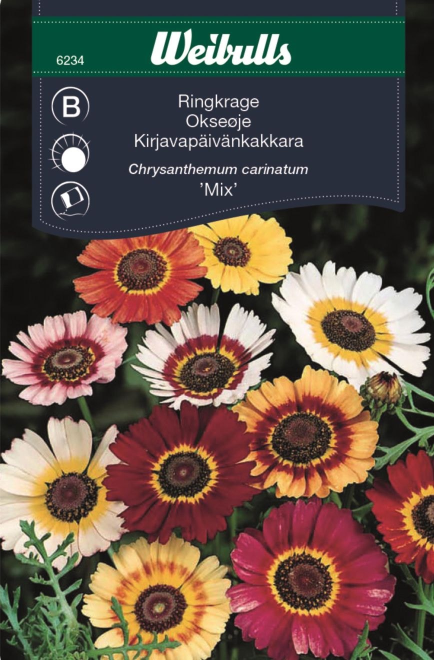 Weibulls Päivänkakkara Mix