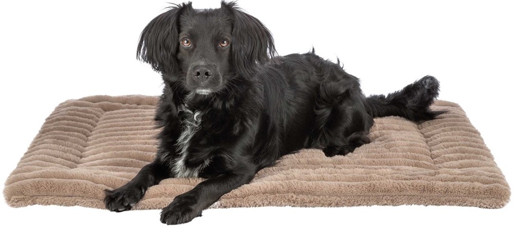 Lonni liggmatta, manchester plysch, 130 x 90 cm, ljusbrun