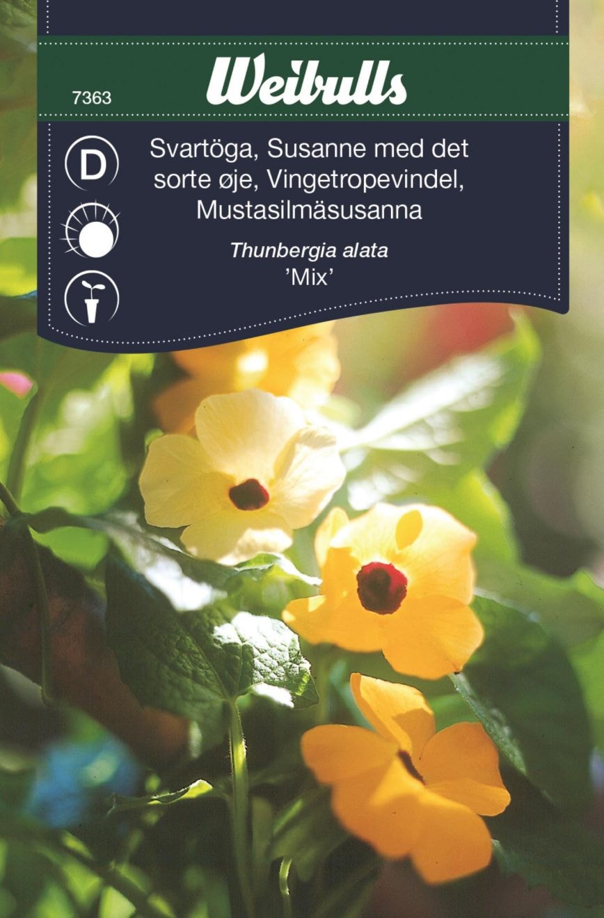 Weibulls Mustasilmäsusanna