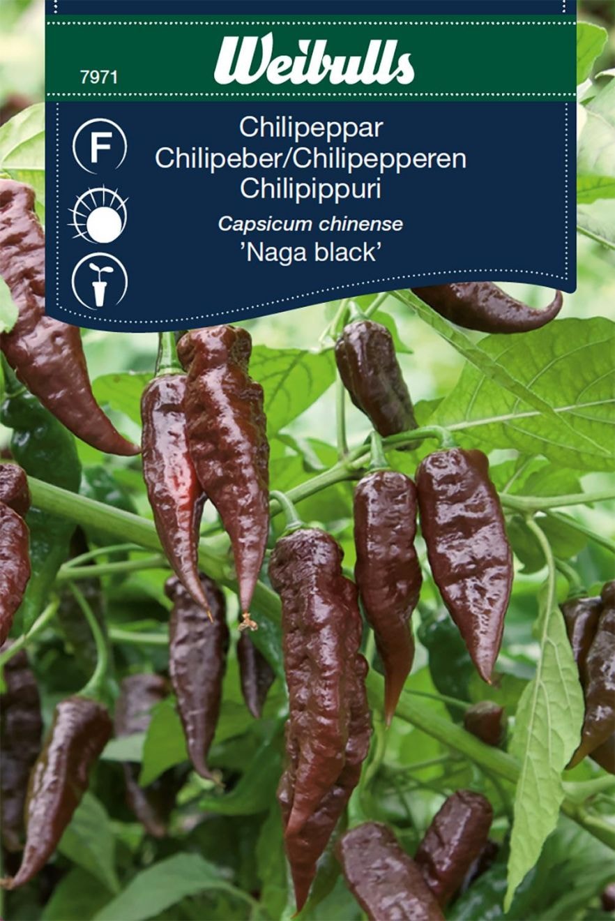Weibulls Chilipippuri Naga black