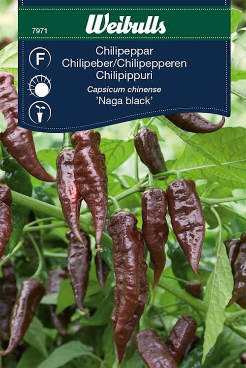 Weibulls Chilipeppar Naga black