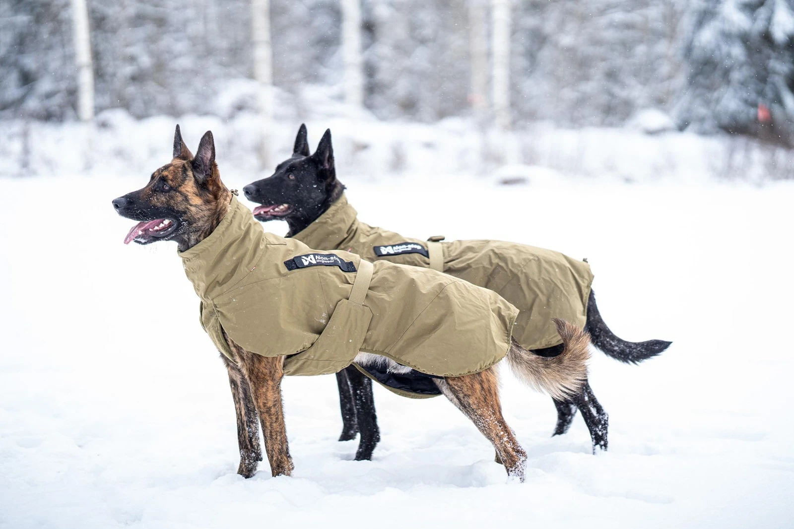 glacier_jacket_wd_setting_11[1].webp