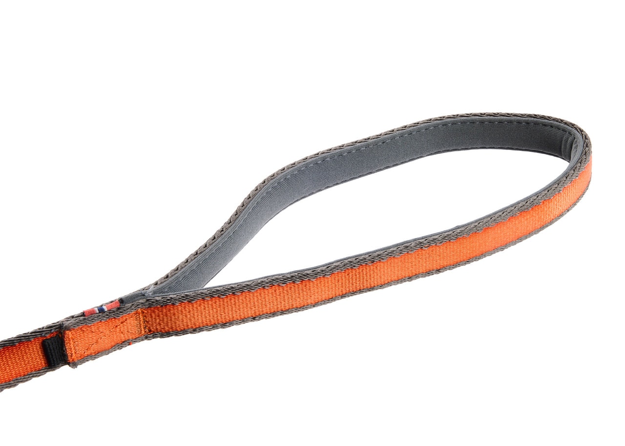 move_leash_feature_2[1].jpg