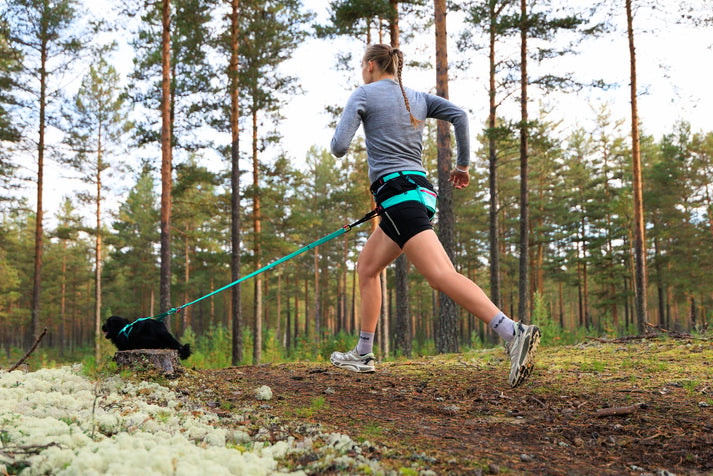 canix_belt_2_aqua_setting_2[1].jpg