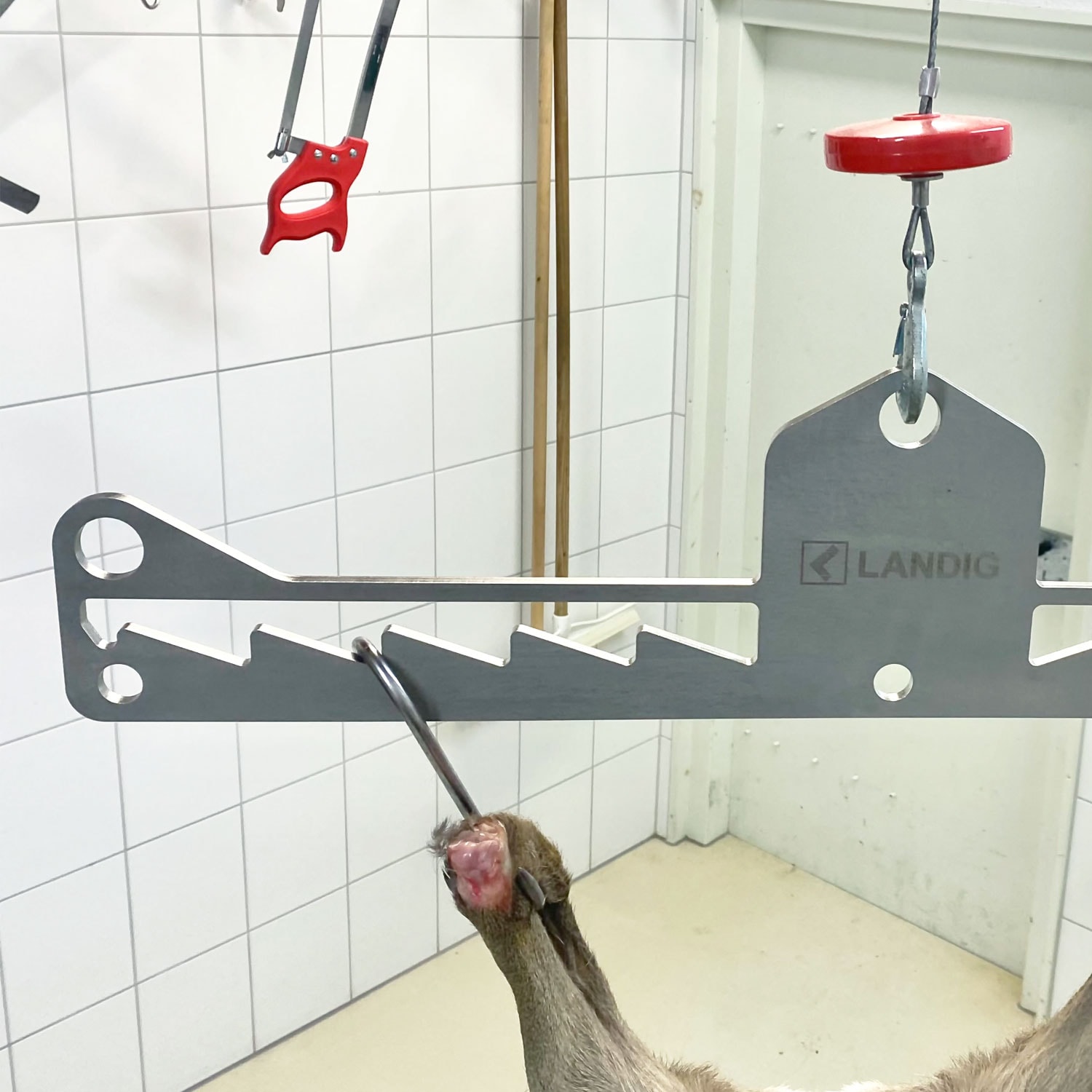 landig-Premium-Game-Hanger-Z44063-application-imag