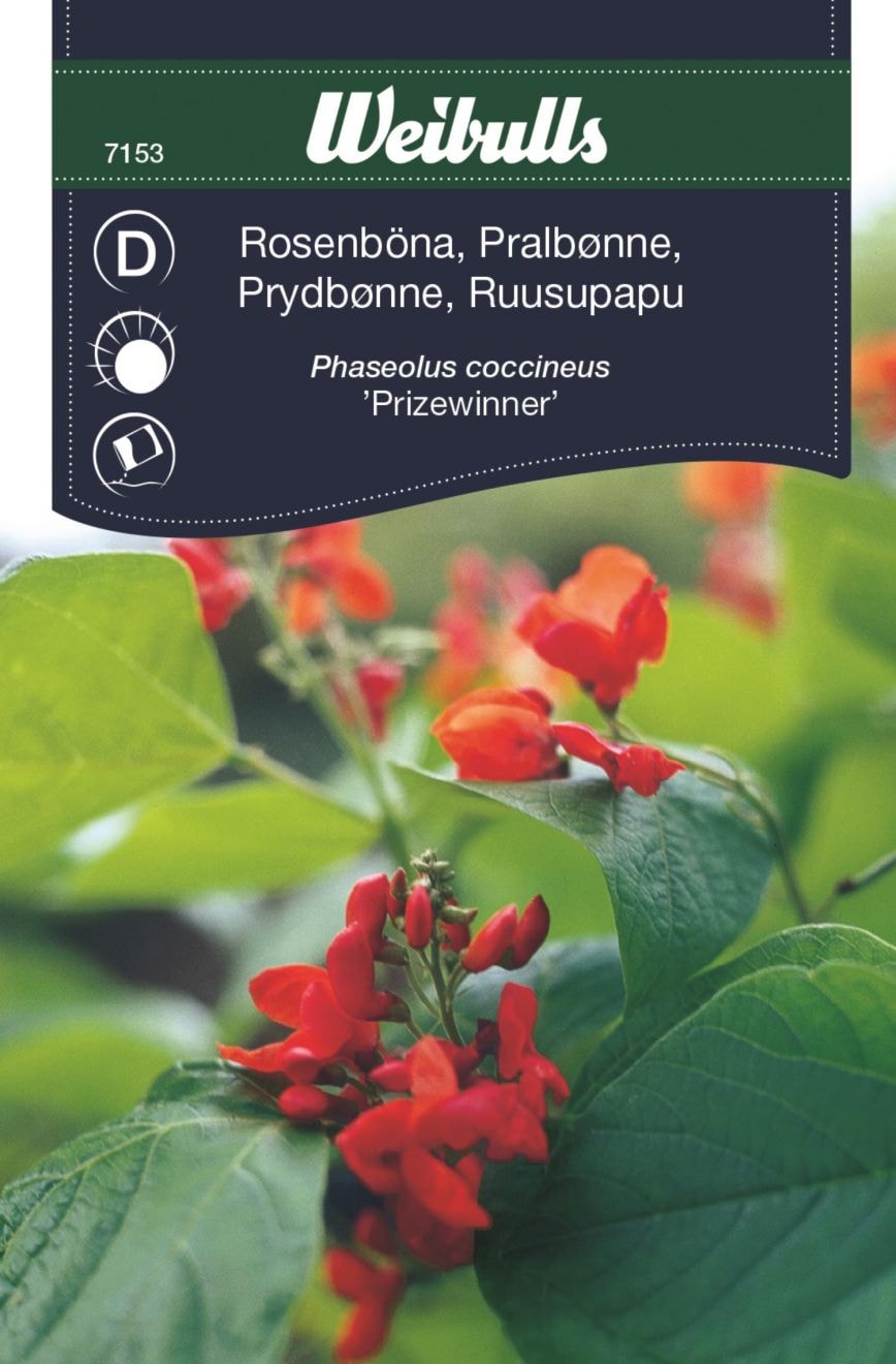 Rosenböna Prizewinner