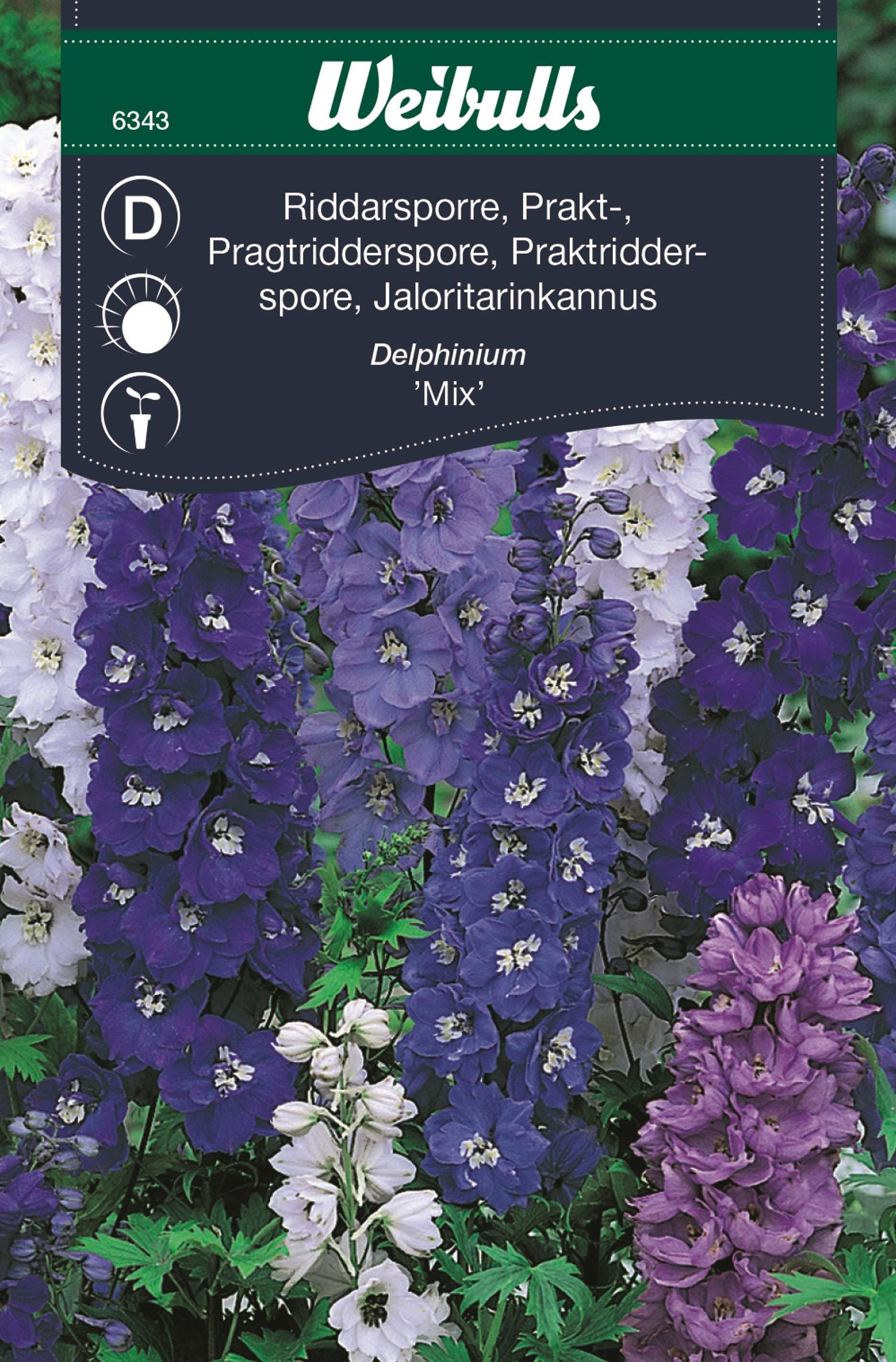 Weibulls Riddarsporre, prakt-