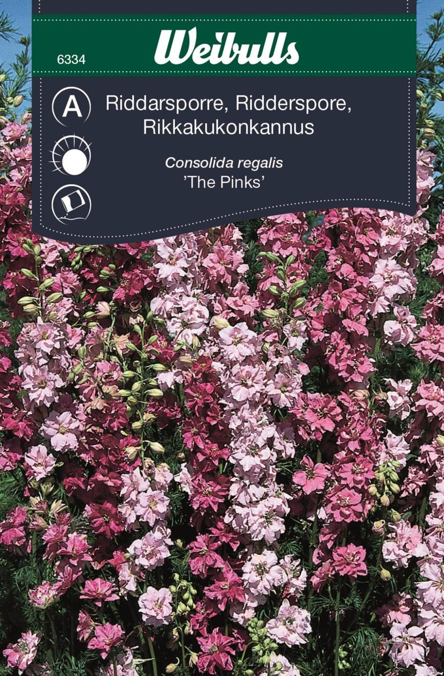 Weibulls Riddarsporre the pinks
