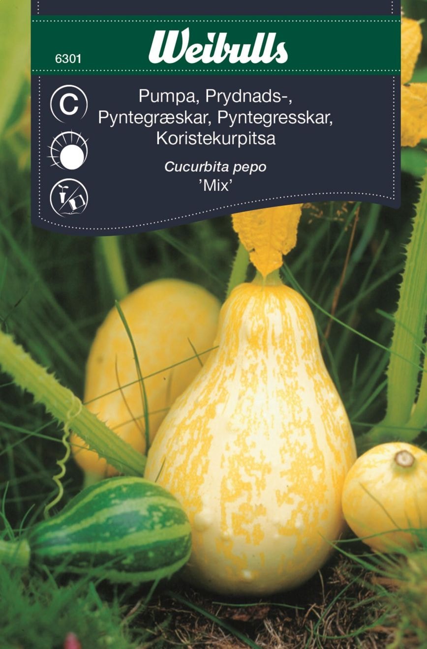 Weibulls Pumpa, prydnads, mix