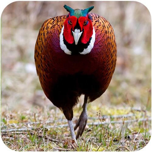 ba7c2c26-4ff1-4b51-be8a-a72be07e51fc[1]