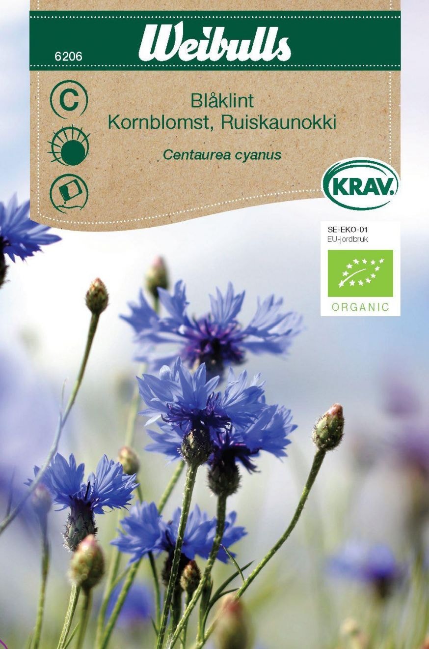 Weibulls Ruiskaunokki "Centaurea cyanus" siemenet
