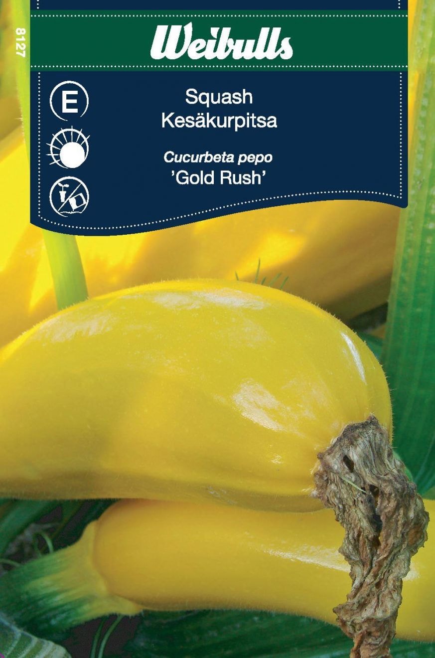 Weibulls Squash 'gold Rush' Frö