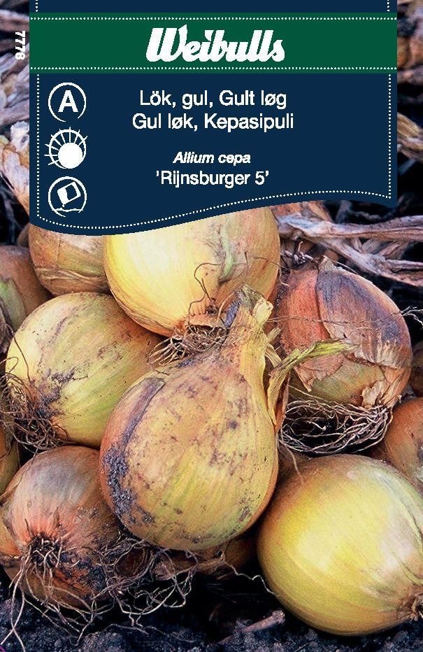 Weibulls Lök, gul lök Rijnsburger