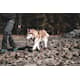 Non-Stop Dogwear Protector Bootie 4Pk miljobild.jp