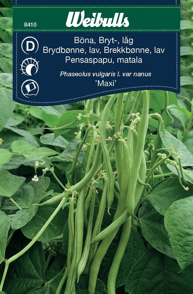 Böna, Bryt Låg 'maxi'