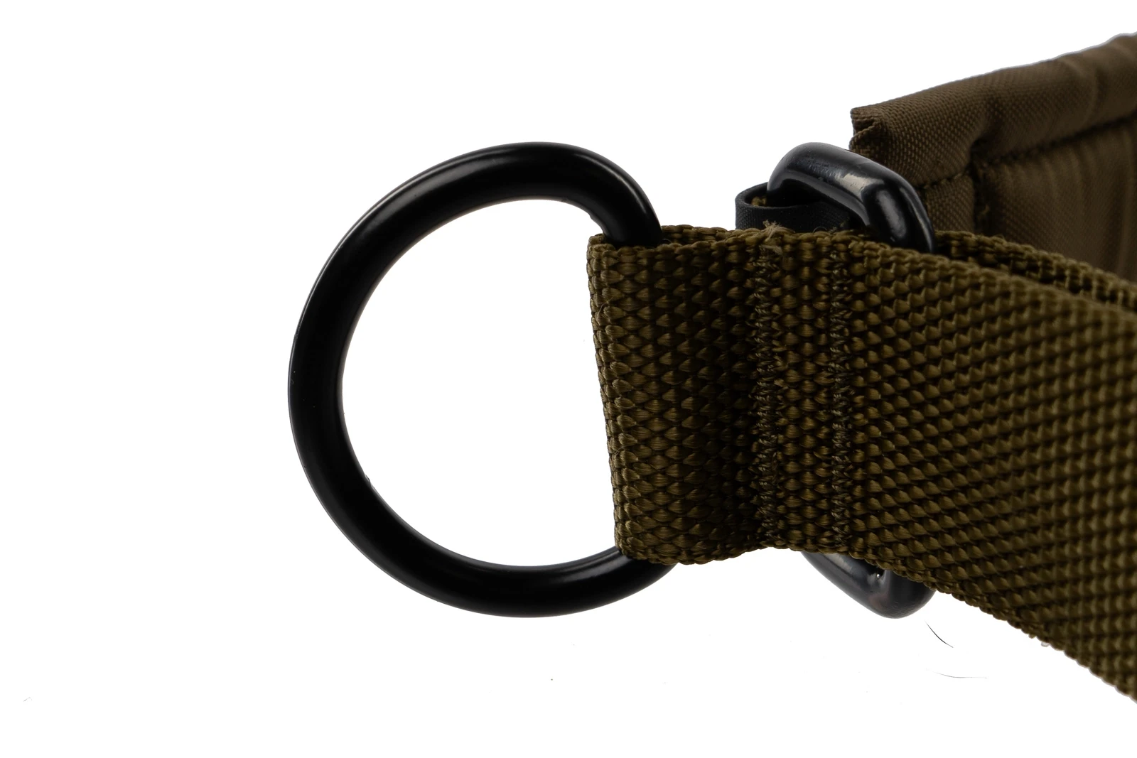solid_collar_wd_feature_1[1].webp