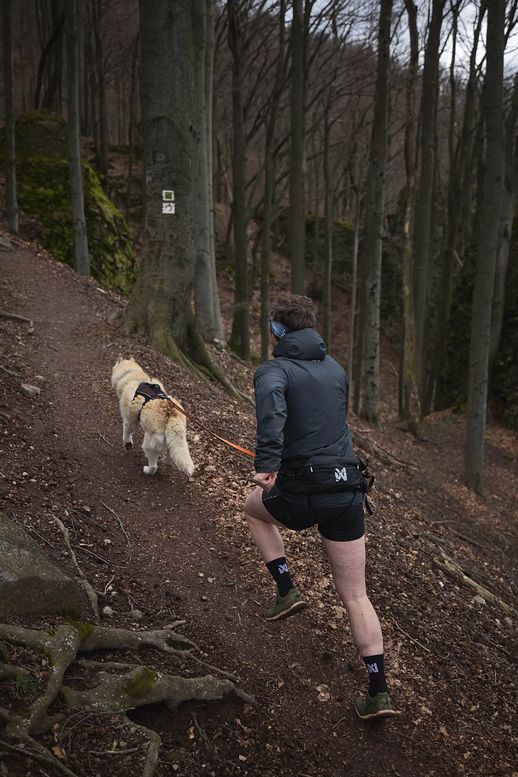 trail_light_belt_setting_2[1].webp