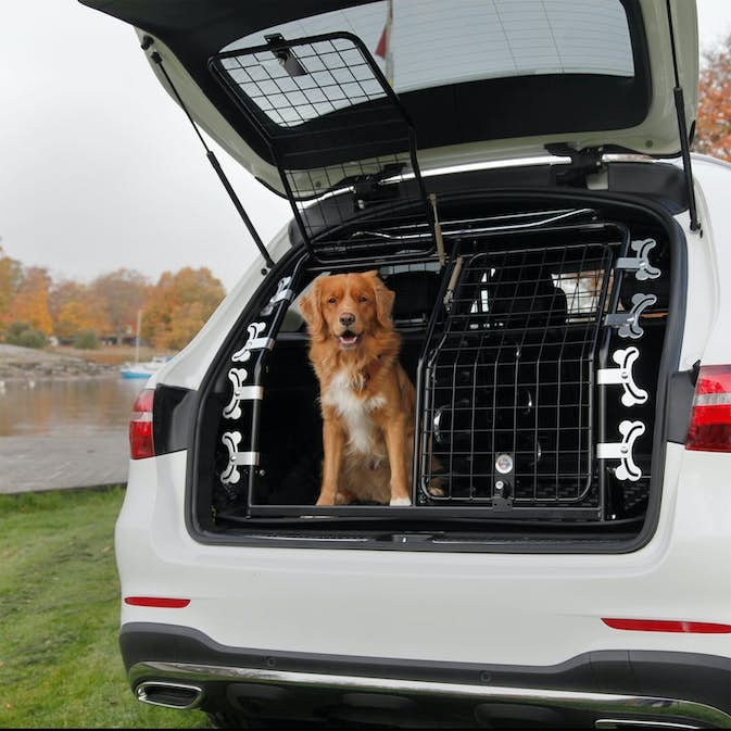 hundgrind-artfex-modell-2-dubbeldorr__8f589c18-691