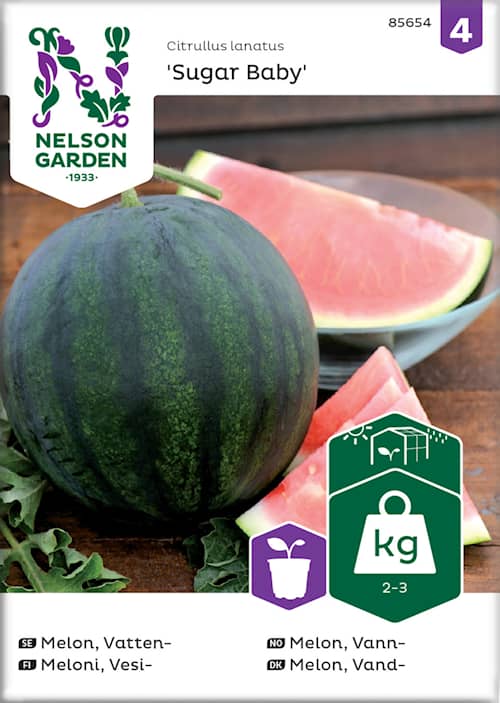 Nelson Garden Melon, Vatten-, Sugar Baby